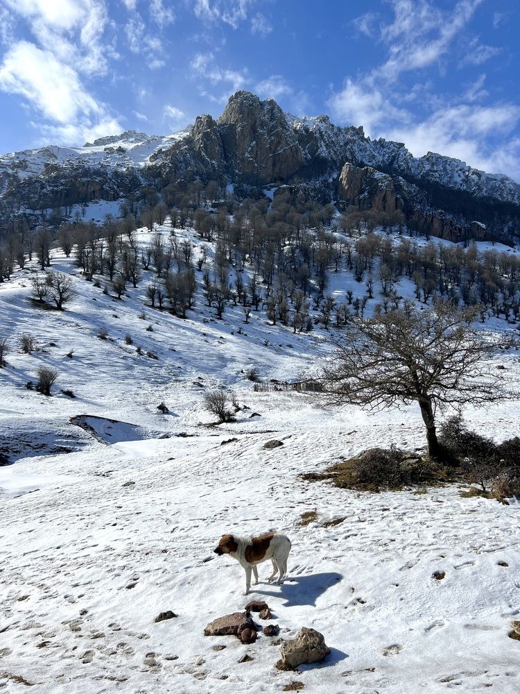 Photograph by amaz avr