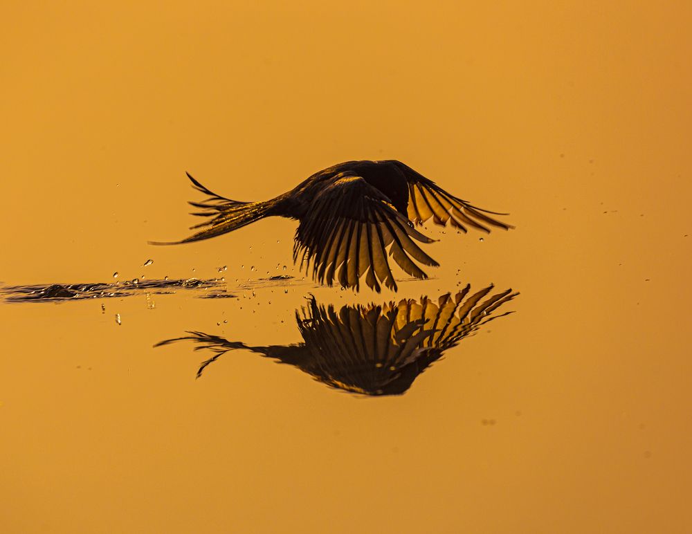 Photograph by Rahul Dev