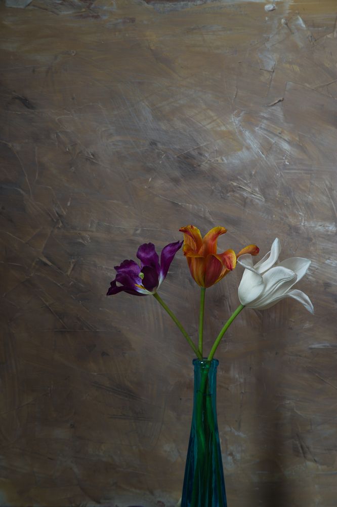 Photograph by Сергей Алексеев