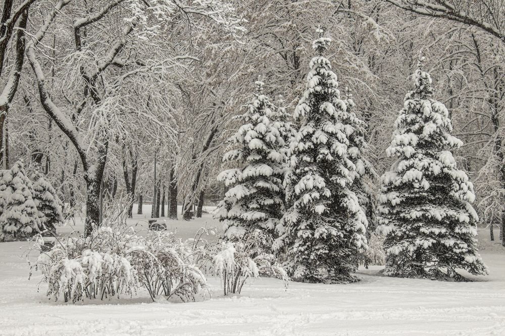 Photograph by Игорь Квочка