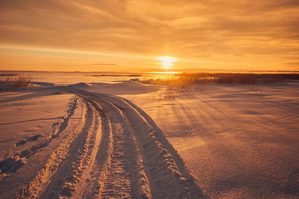 Photograph by Дмитрий Лепаков