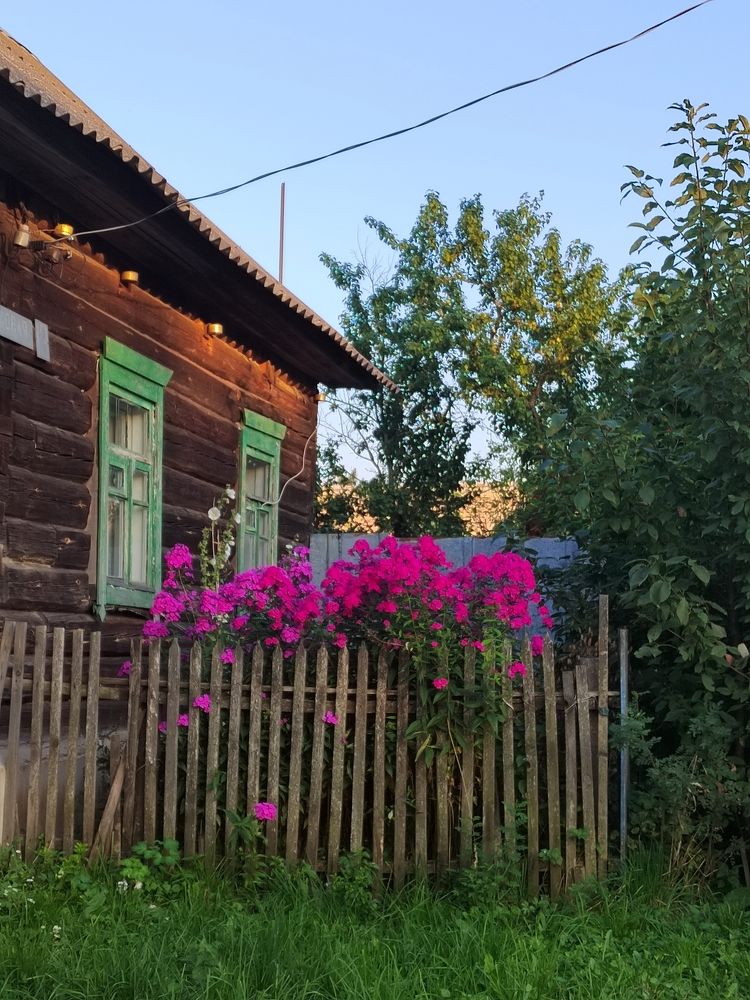 Photograph by Наталья Горовых