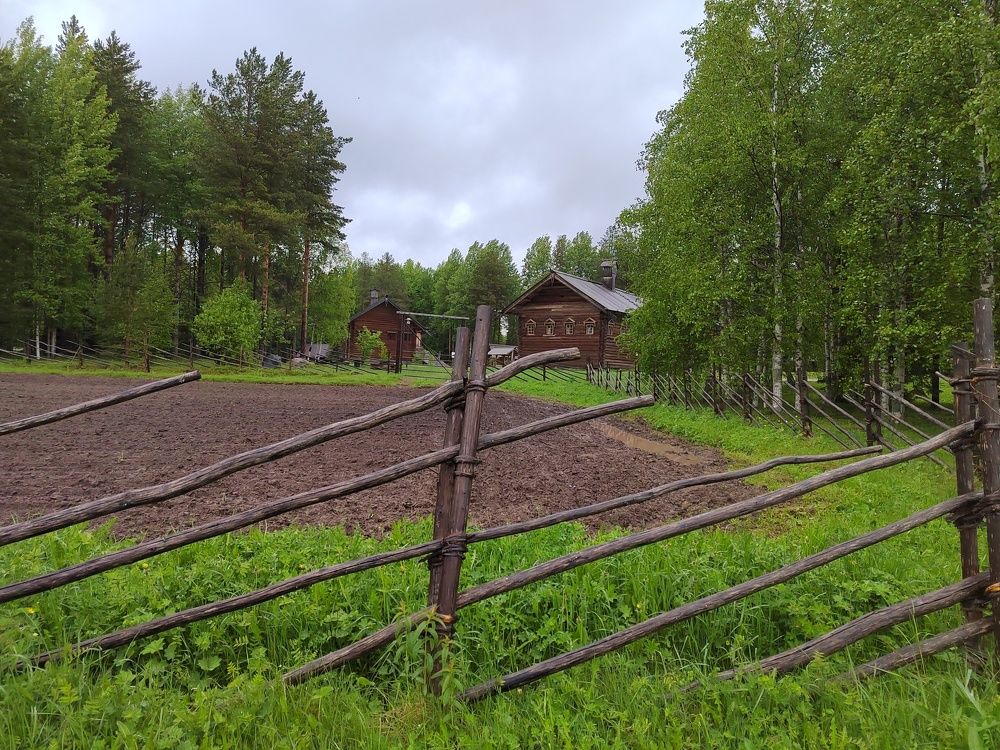 Photograph by Наталья Горовых