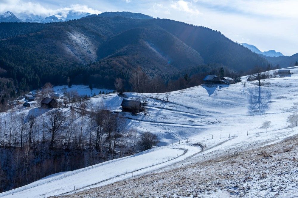 Утро в деревне