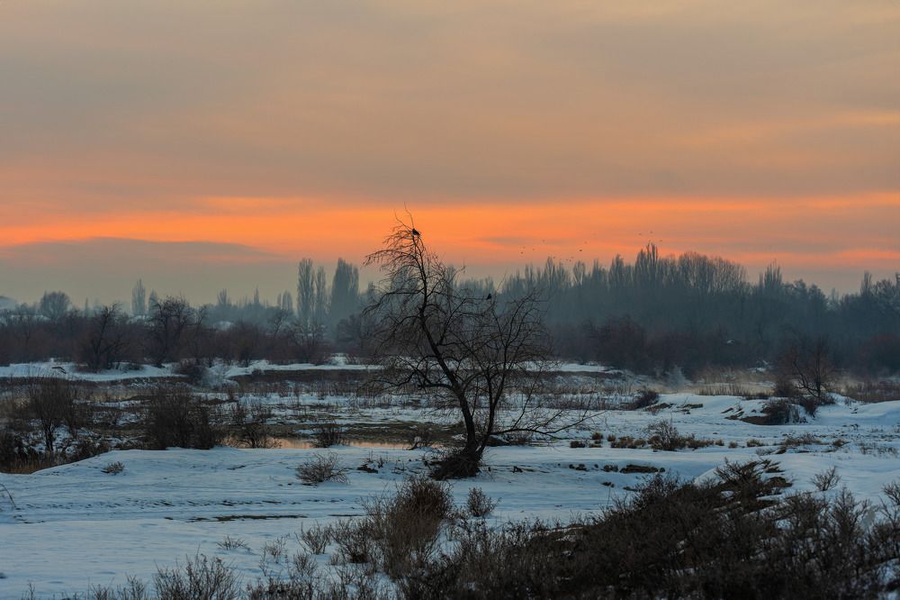 Photograph by Лилия Хакимова