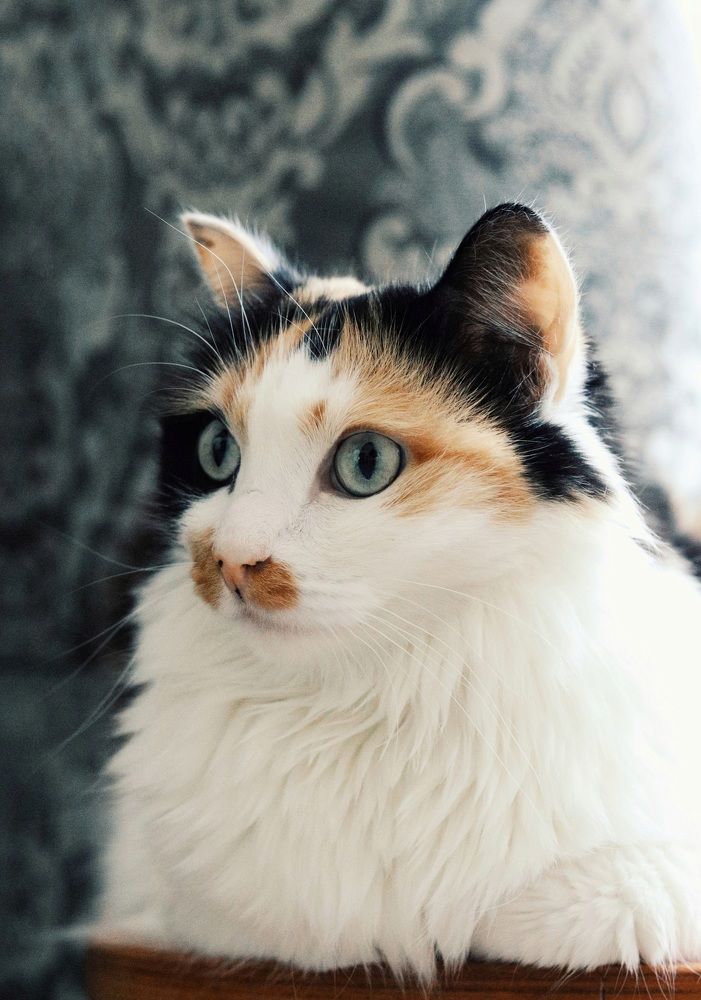 Photograph by Ольга Мандрыкина