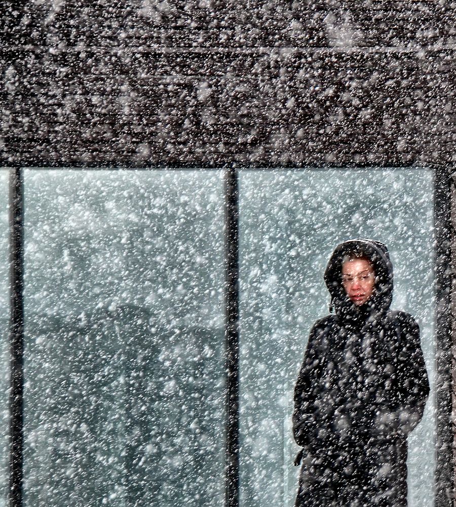 Фотография автора Елена Лаврова