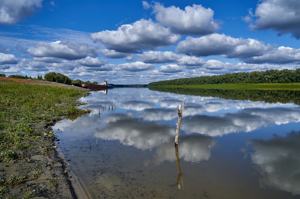 Photograph by Андрей Колеватов