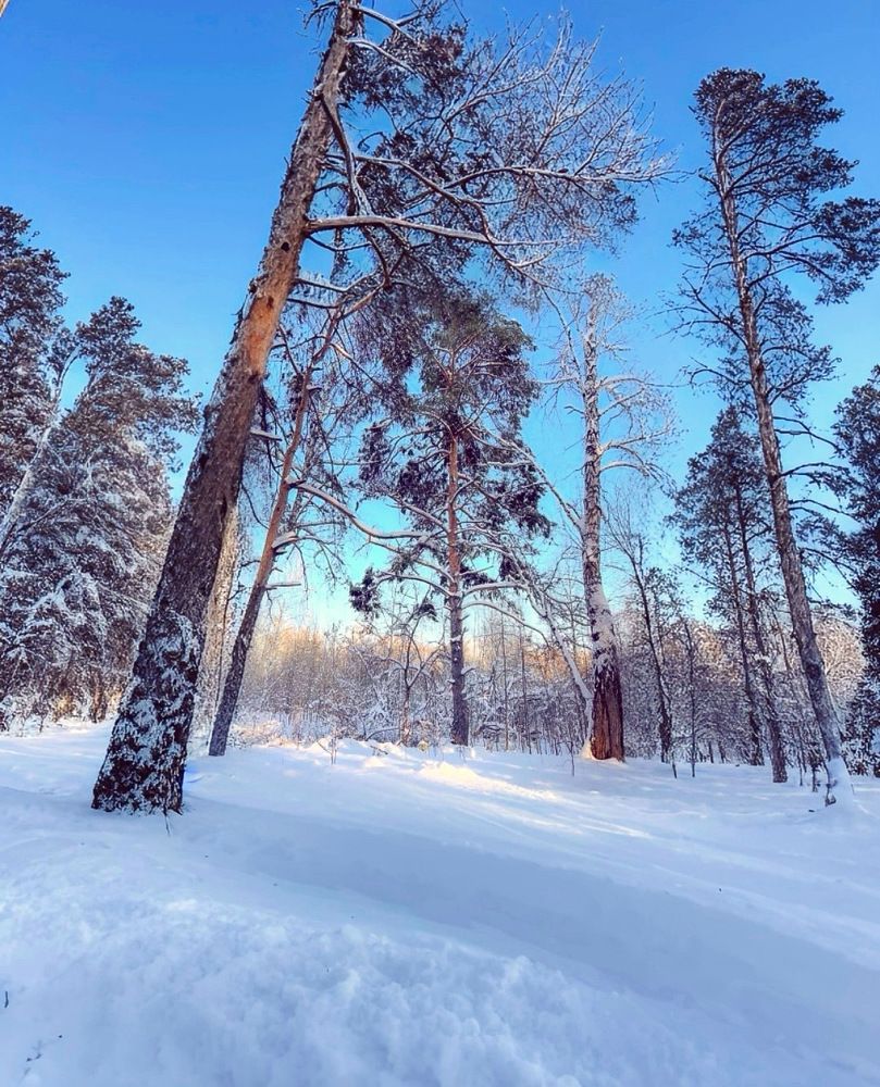 Photograph by Татьяна Волохова