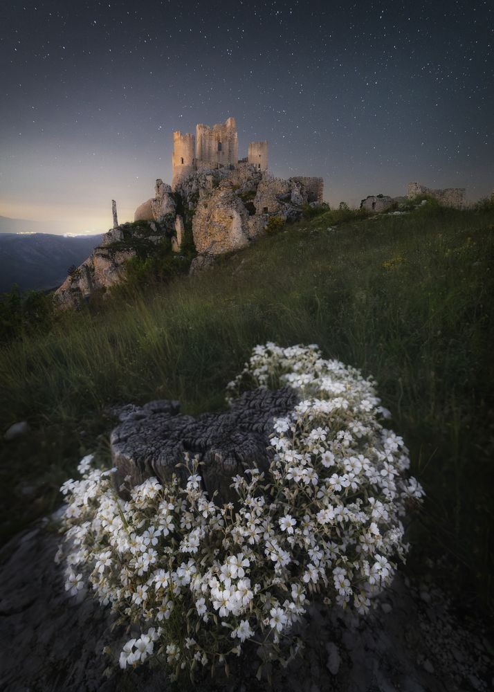 Photograph by Andrea Curzi