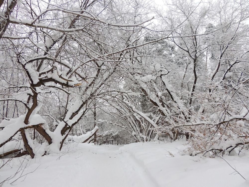 Photograph by Николай Леухин