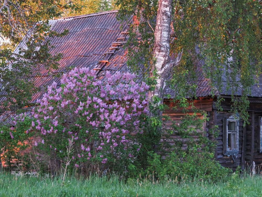 Photograph by Романов Денис