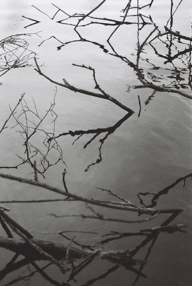 Photograph by Alena Pauts