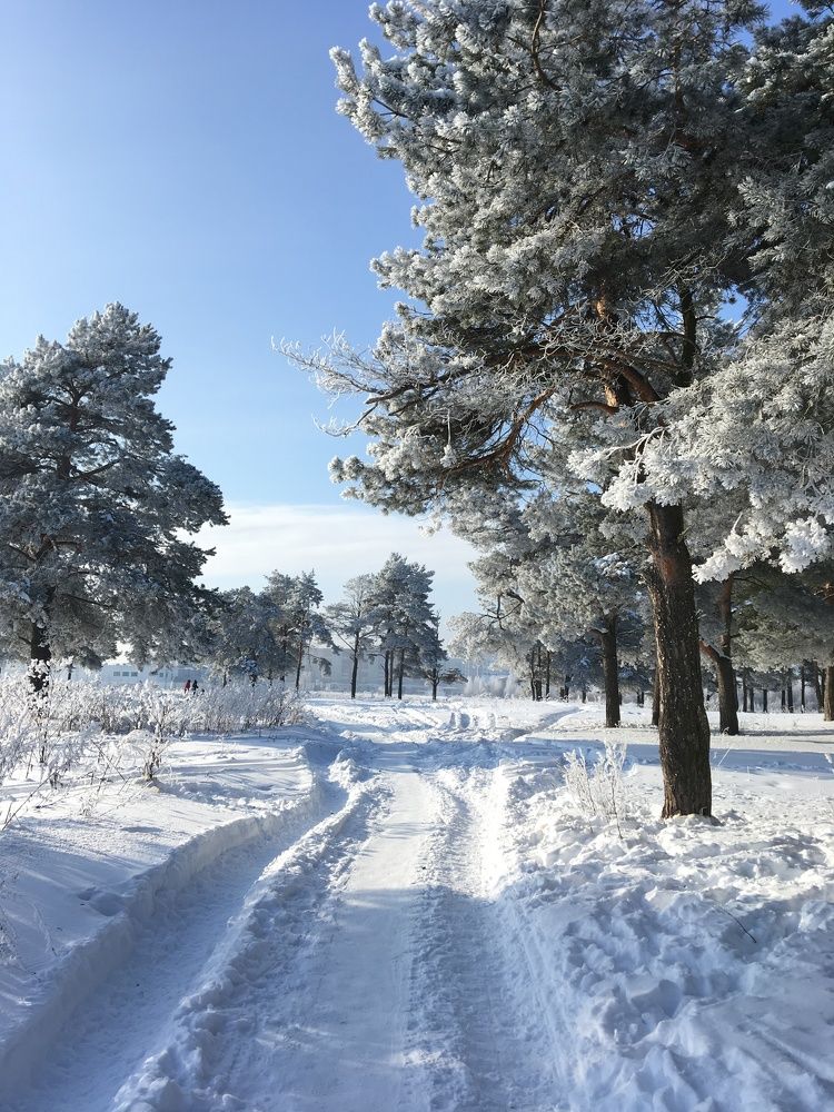Photograph by Елена Макшеева