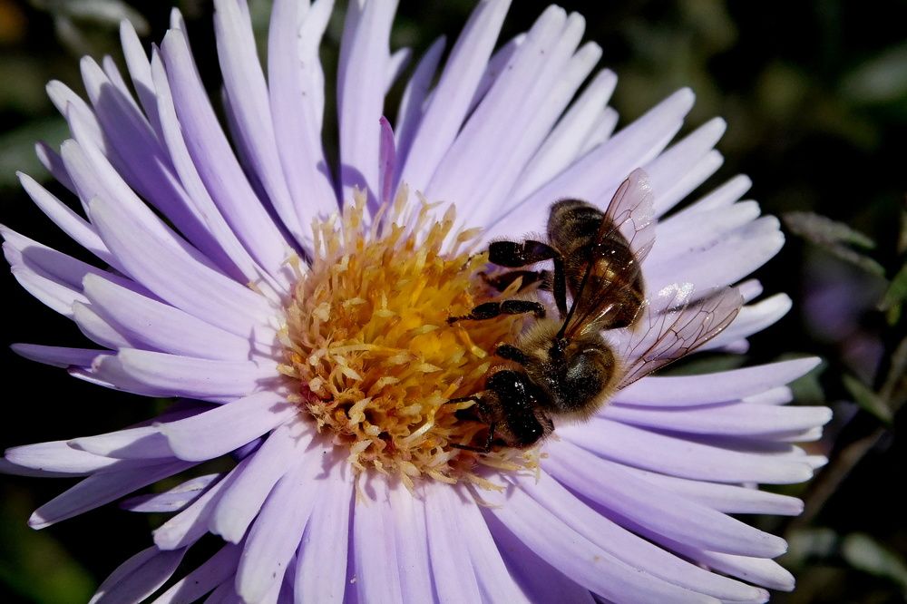 Photograph by Дмитрий Симагин