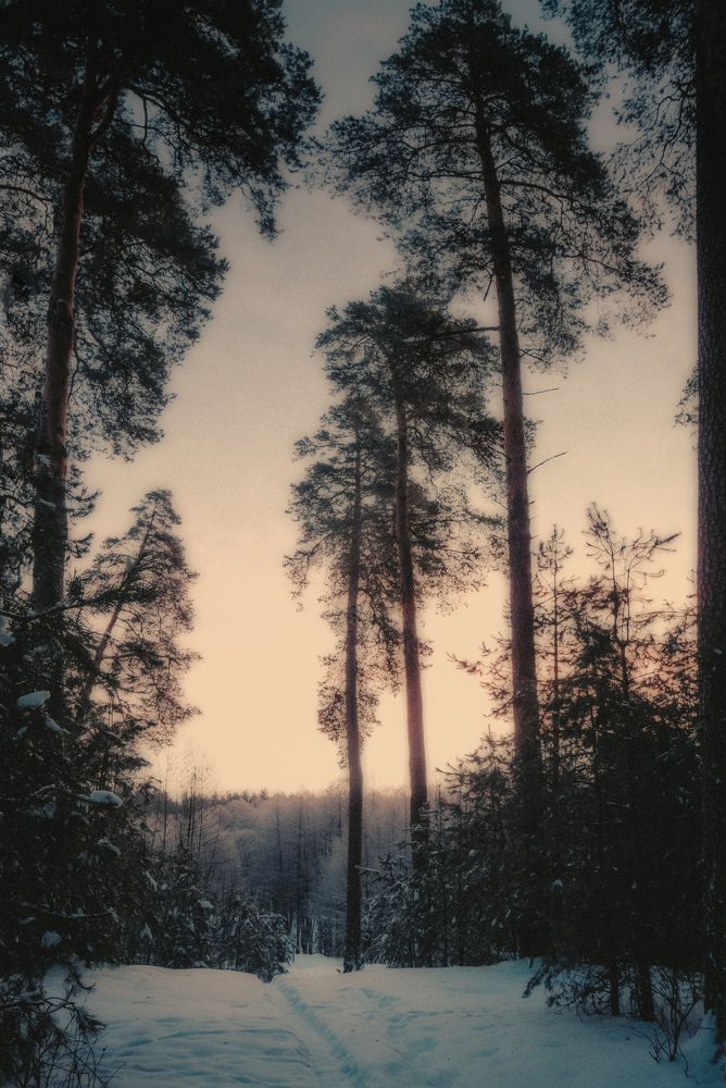 Photograph by Марина Пехтерева