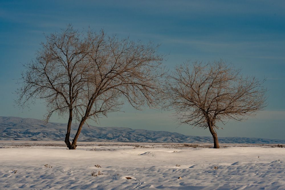 Photograph by Лилия Хакимова