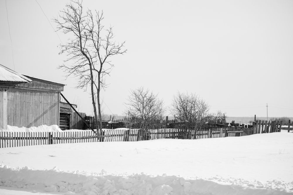 Photograph by Любовь Докучаева