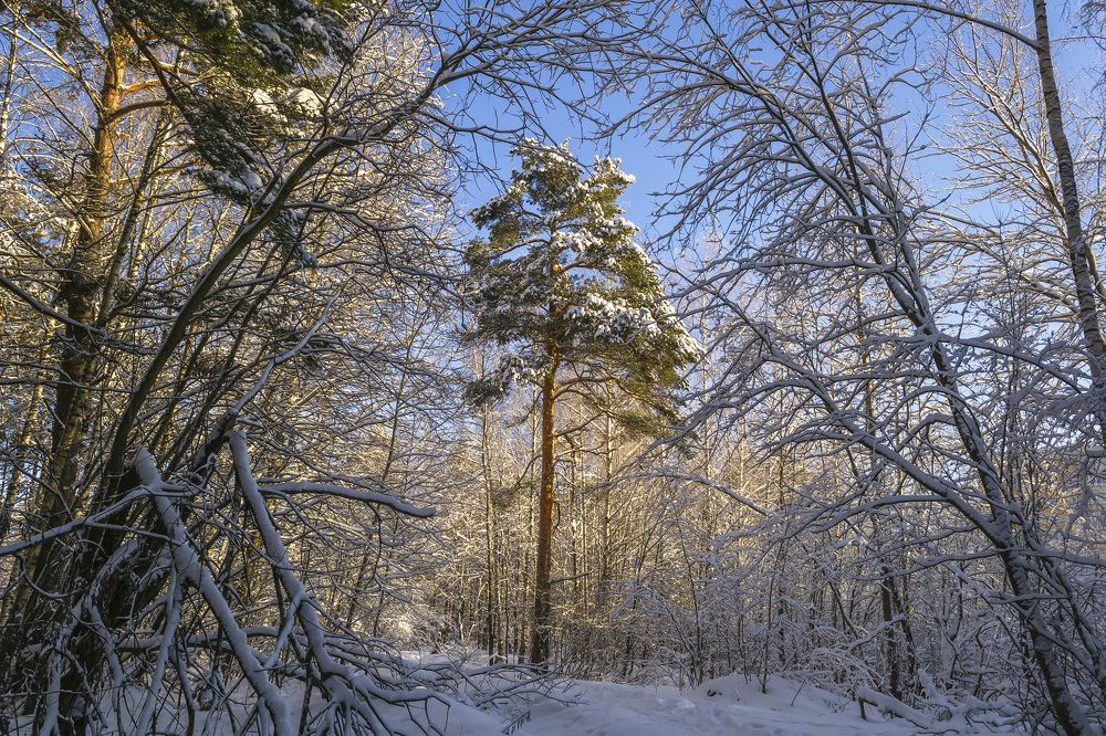 Photograph by Цветков Сергей