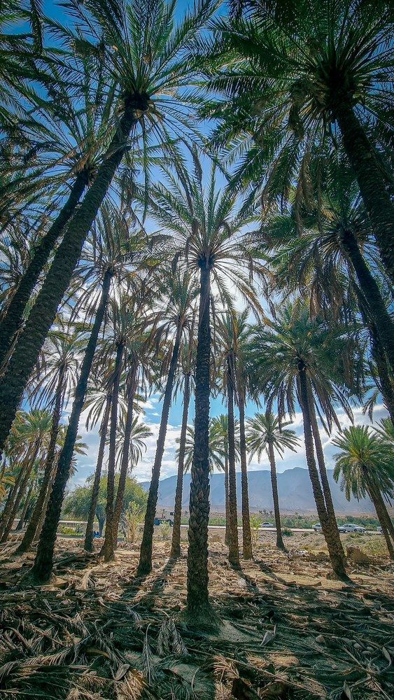 Photograph by Sara Azizi