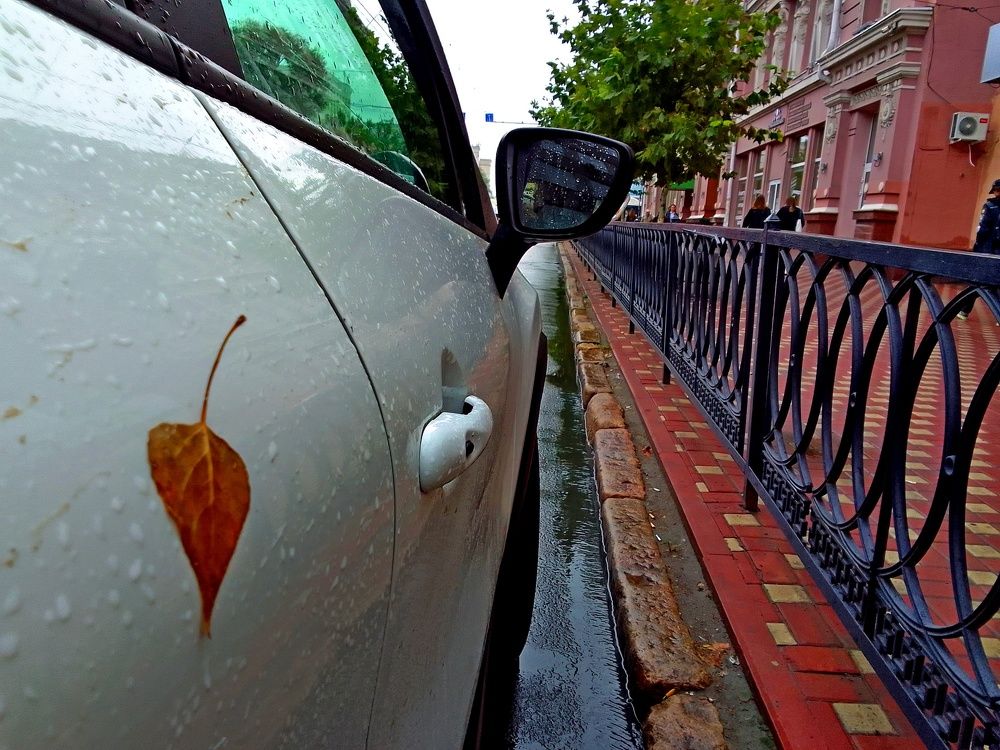 Photograph by Сергей Смоленцев