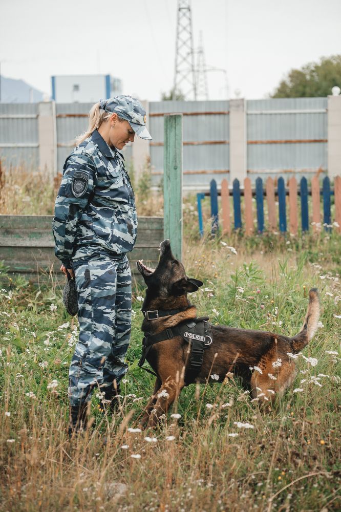Photograph by Людмила Москвичёва