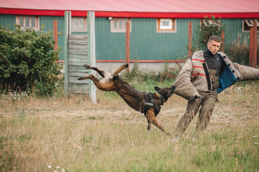 Photograph by Людмила Москвичёва