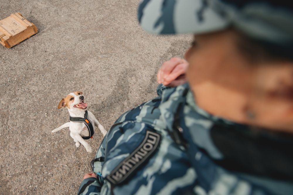 Photograph by Людмила Москвичёва