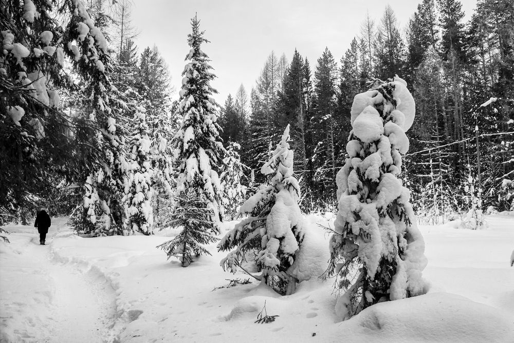 Photograph by Sergey Lebedev