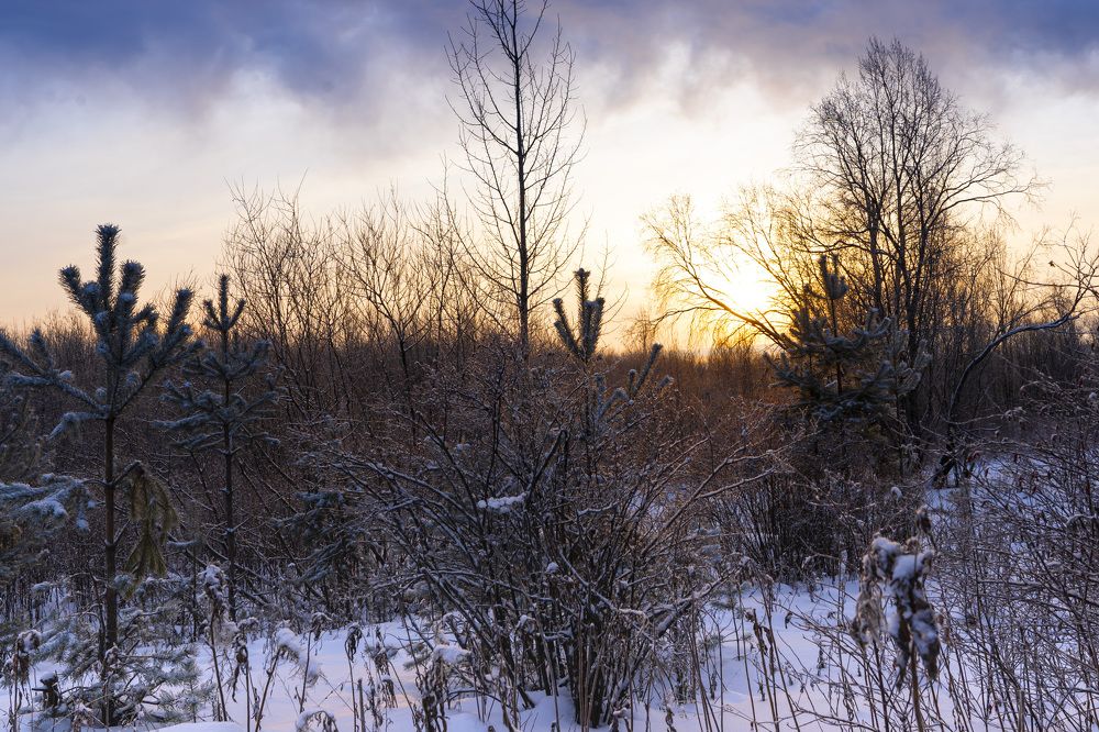 Photograph by Светлана Волкова