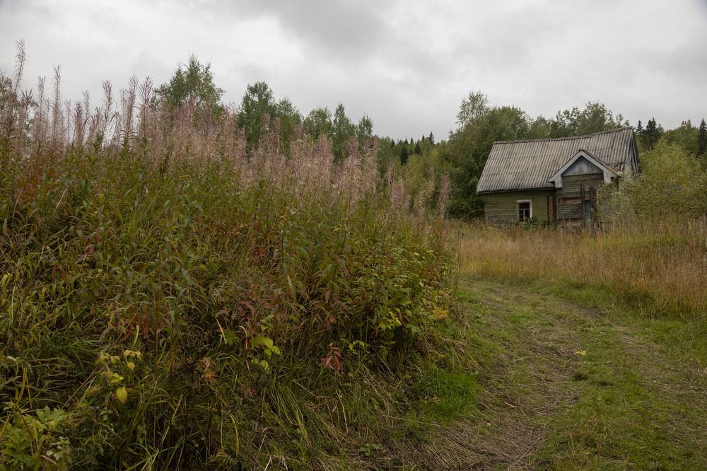 Photograph by Екатерина Екатерина