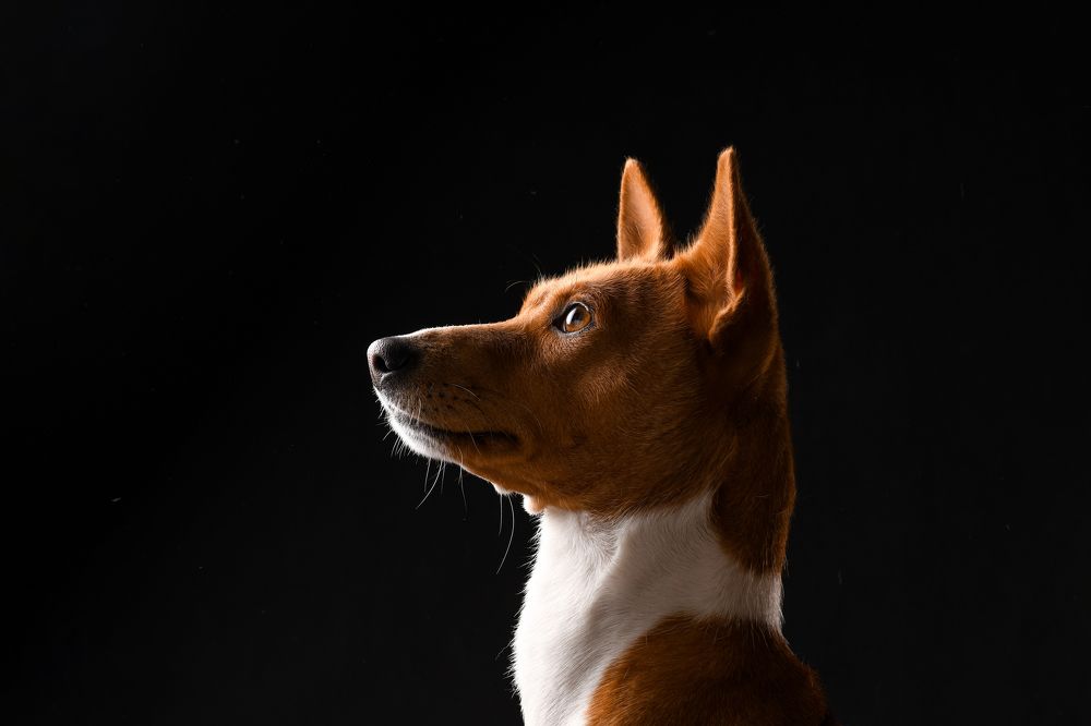 Фотография автора Алена Ковалёва