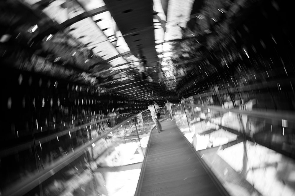 Into the Möbius dimension