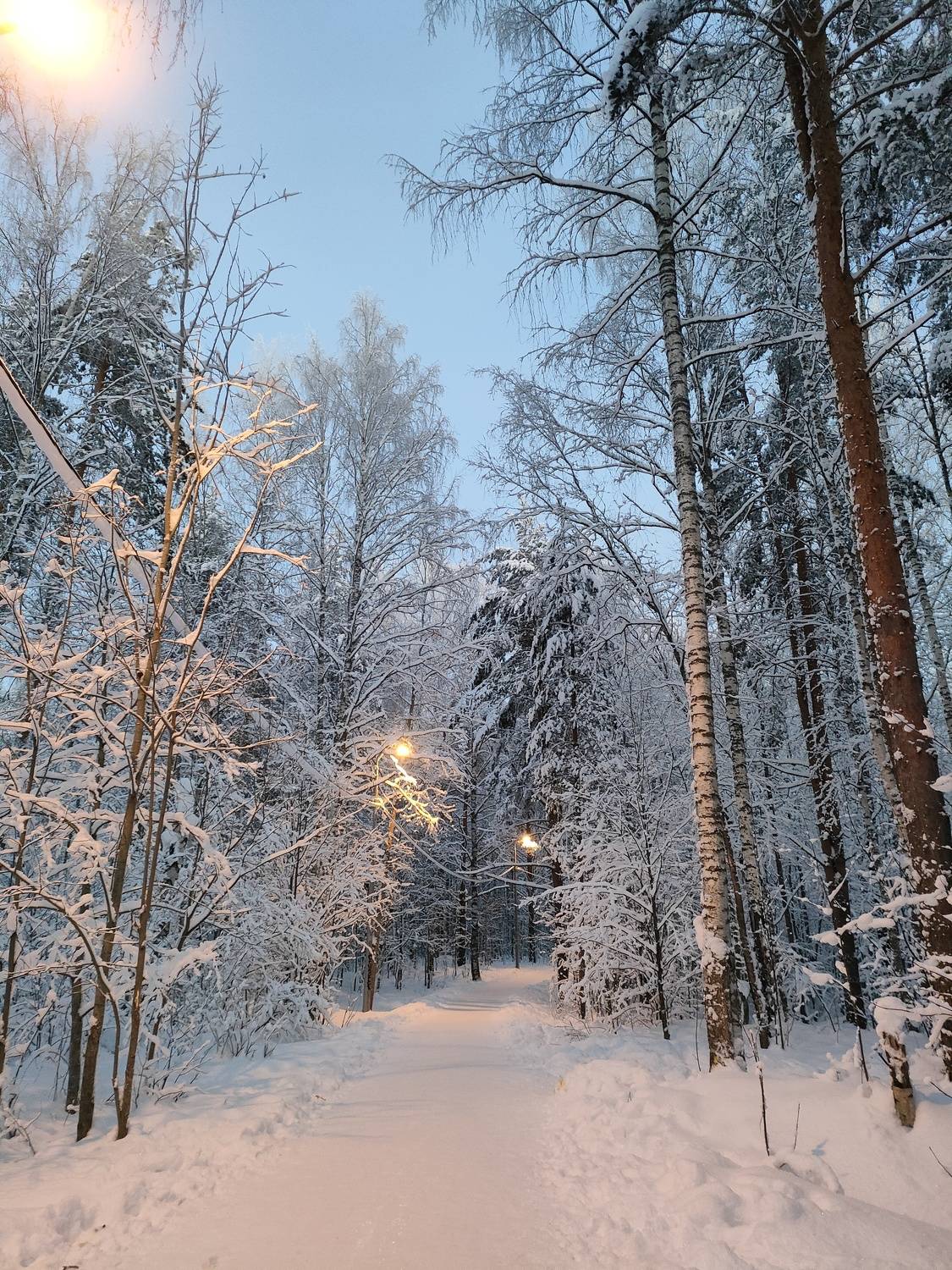 Photo #10164486