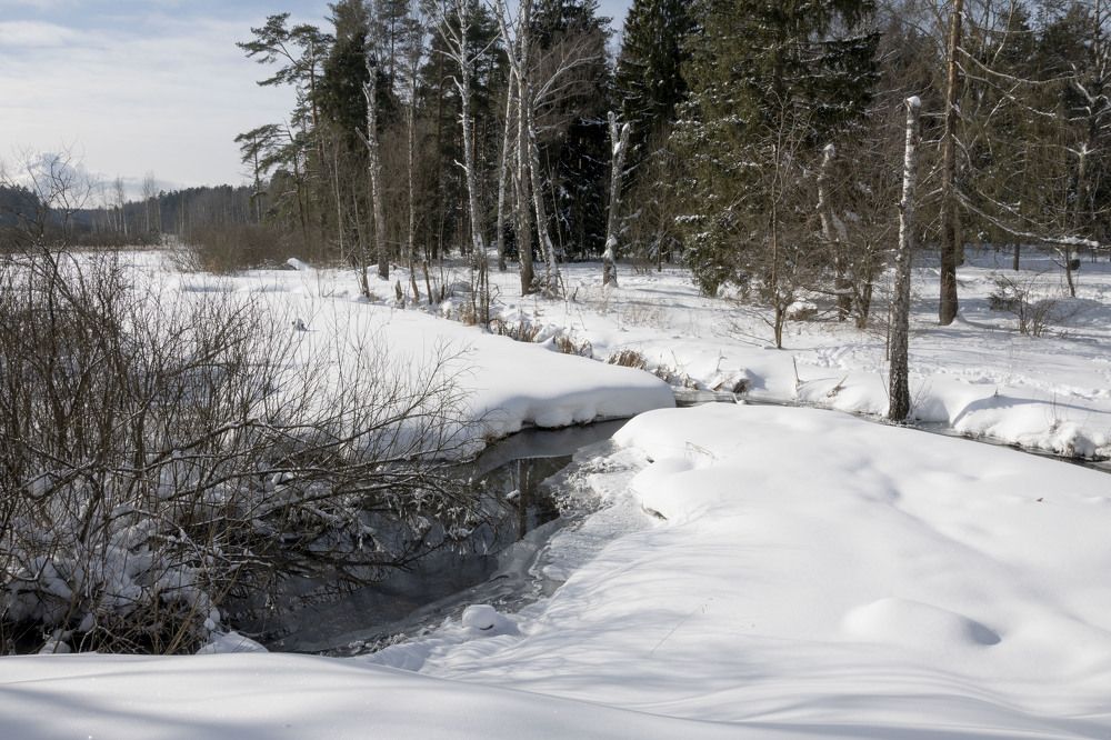 Photograph by Екатерина Екатерина