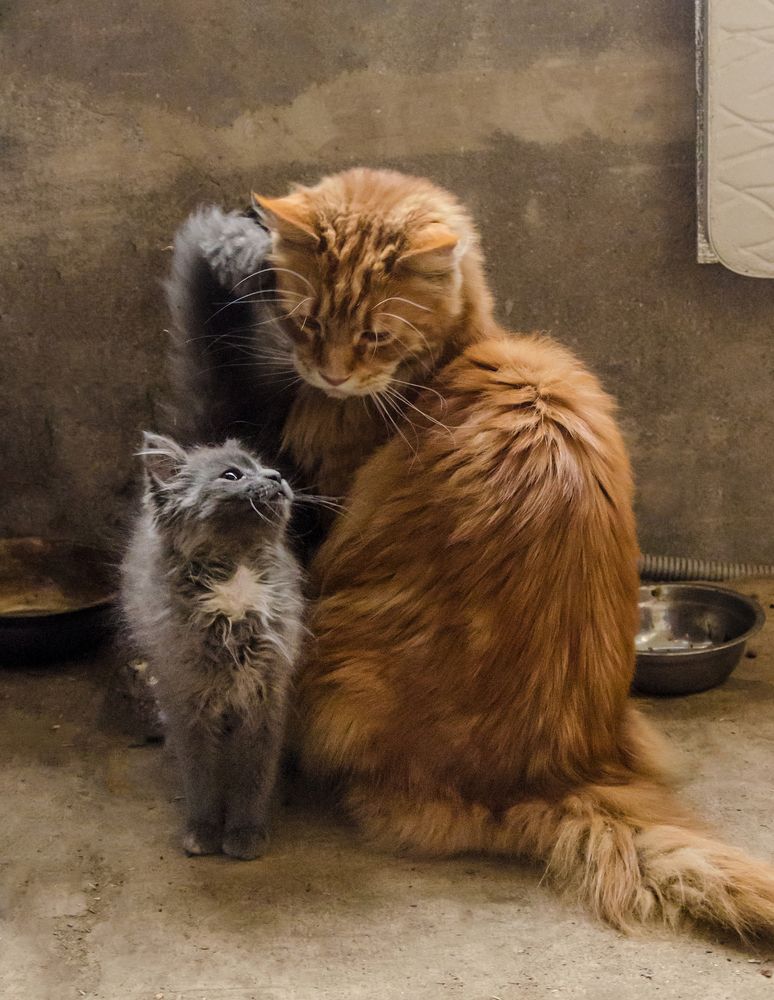 Большой и маленький