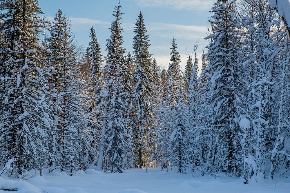 Photograph by Александр Потапов