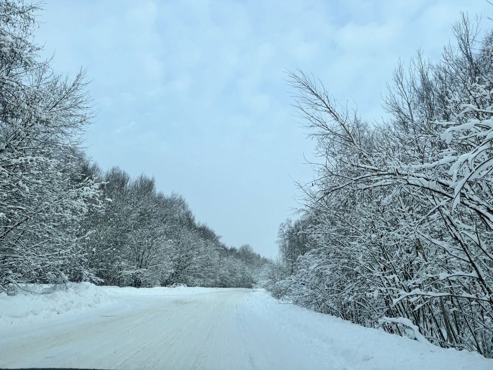 Photograph by Екатерина Слепнева