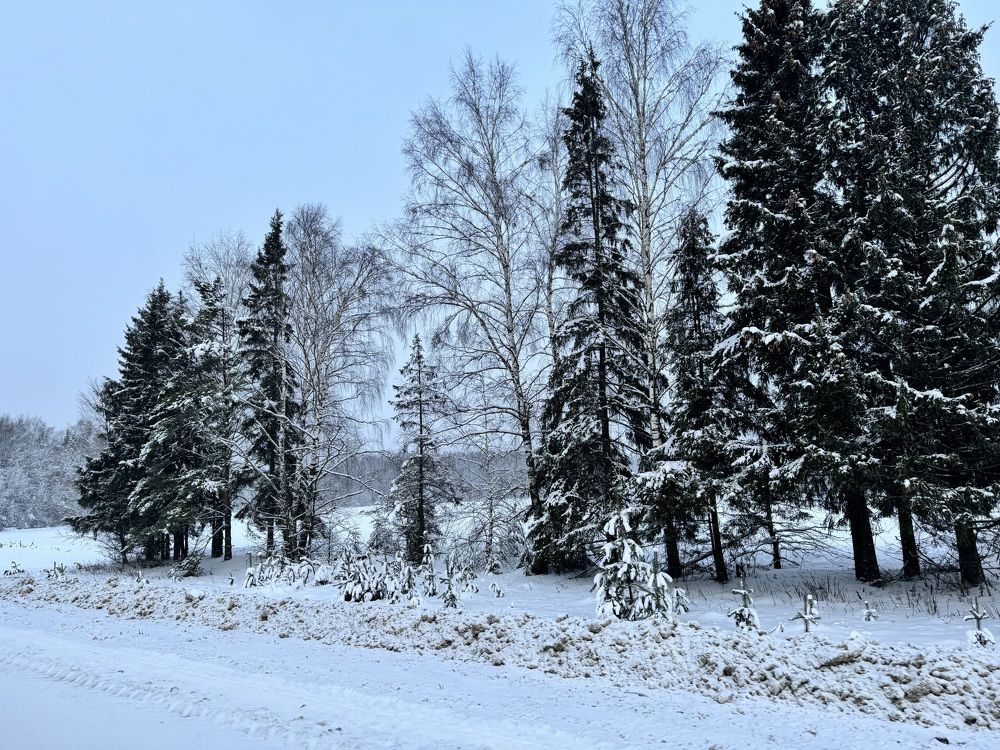 Photograph by Екатерина Слепнева