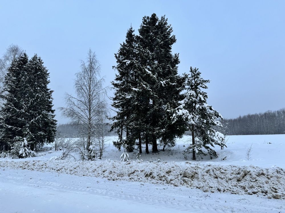 Photograph by Екатерина Слепнева