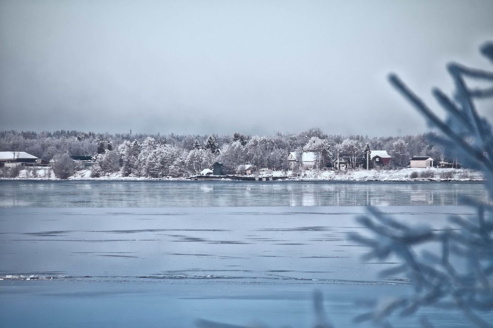 Фотография автора Евгений Шубин