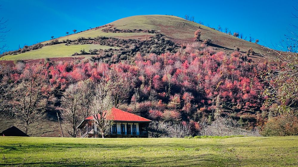 Photograph by Sara Azizi