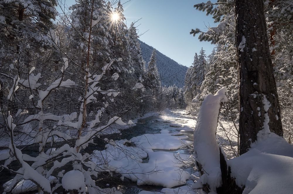 Photograph by Чехонин Александр