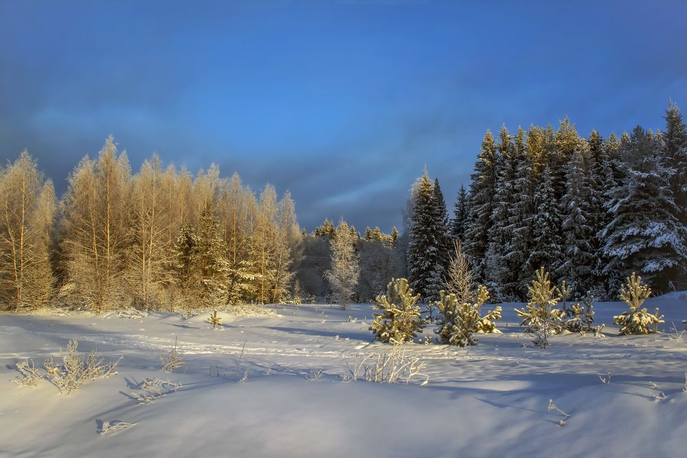 Морозный денёк.