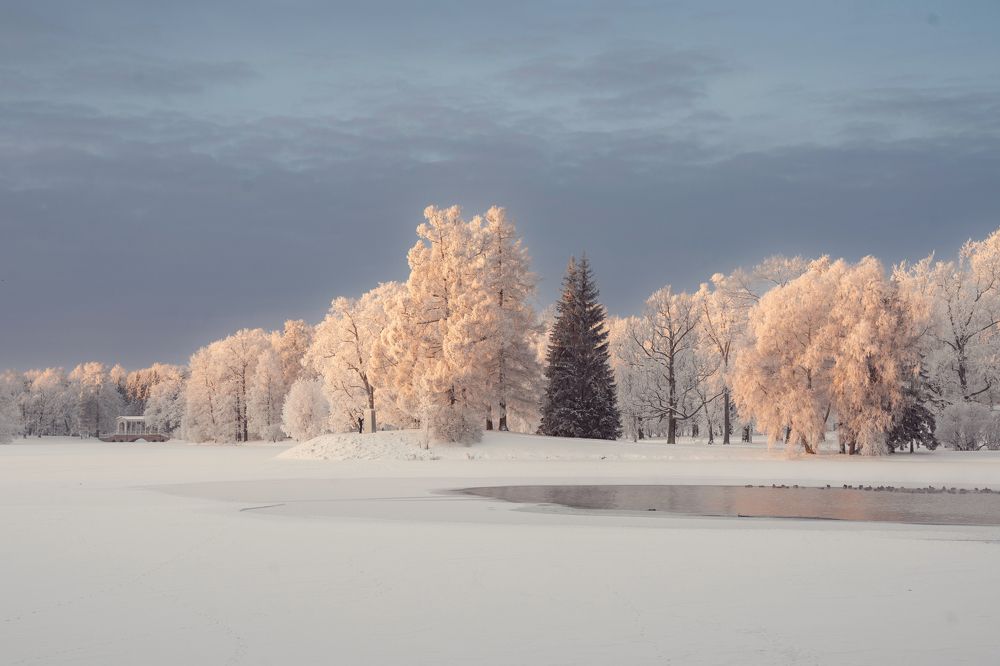 Photograph by Елена Цапко