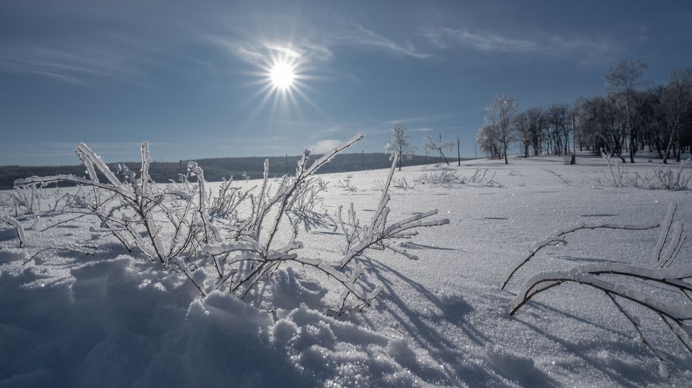 Фотография автора Андрей Арапов