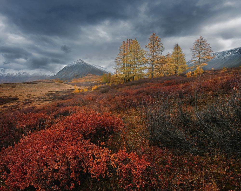 Photograph by Светлана Крат