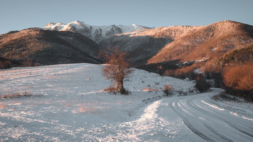 With the first sunlight