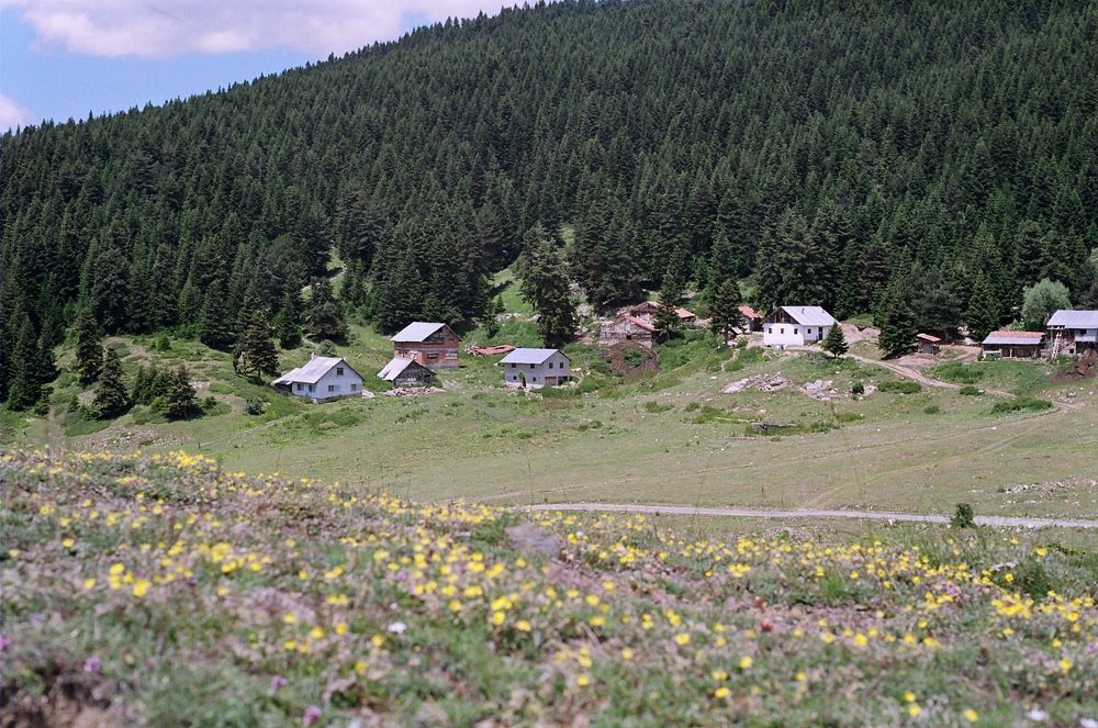 Photograph by Cengiz Yalcin