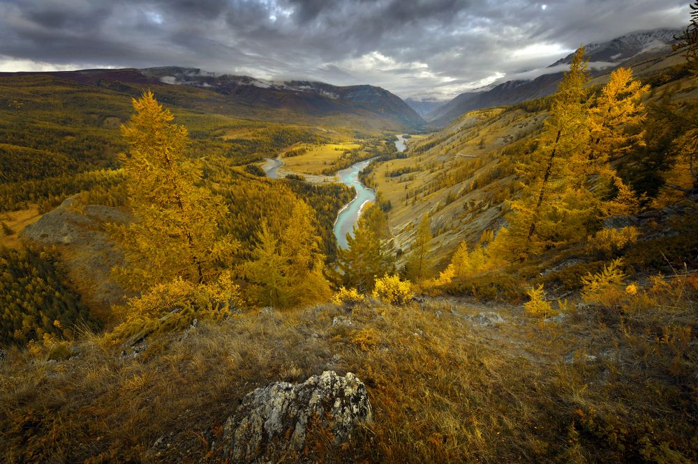 Photograph by Светлана Крат